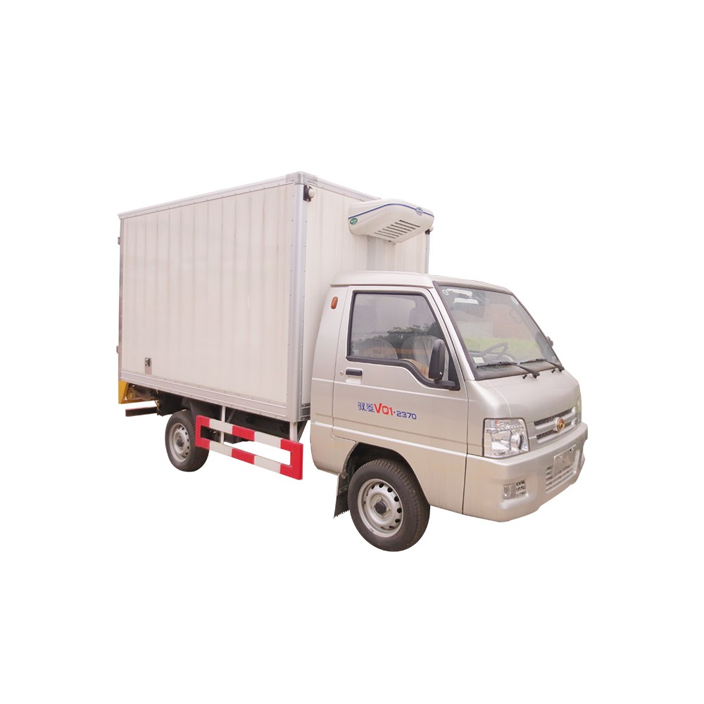 Mini camion frigorifique Forland